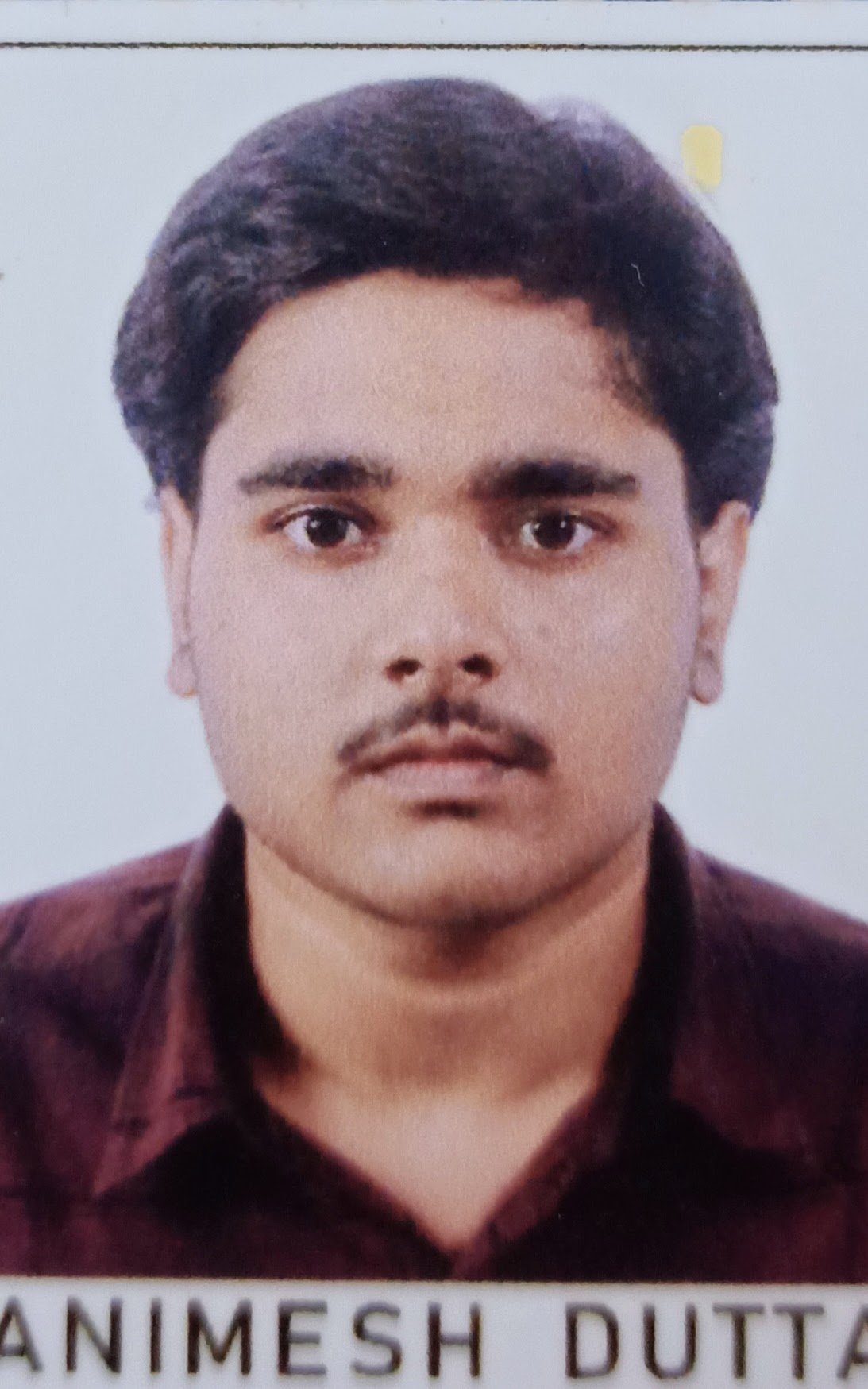 Image of Animesh Dutta