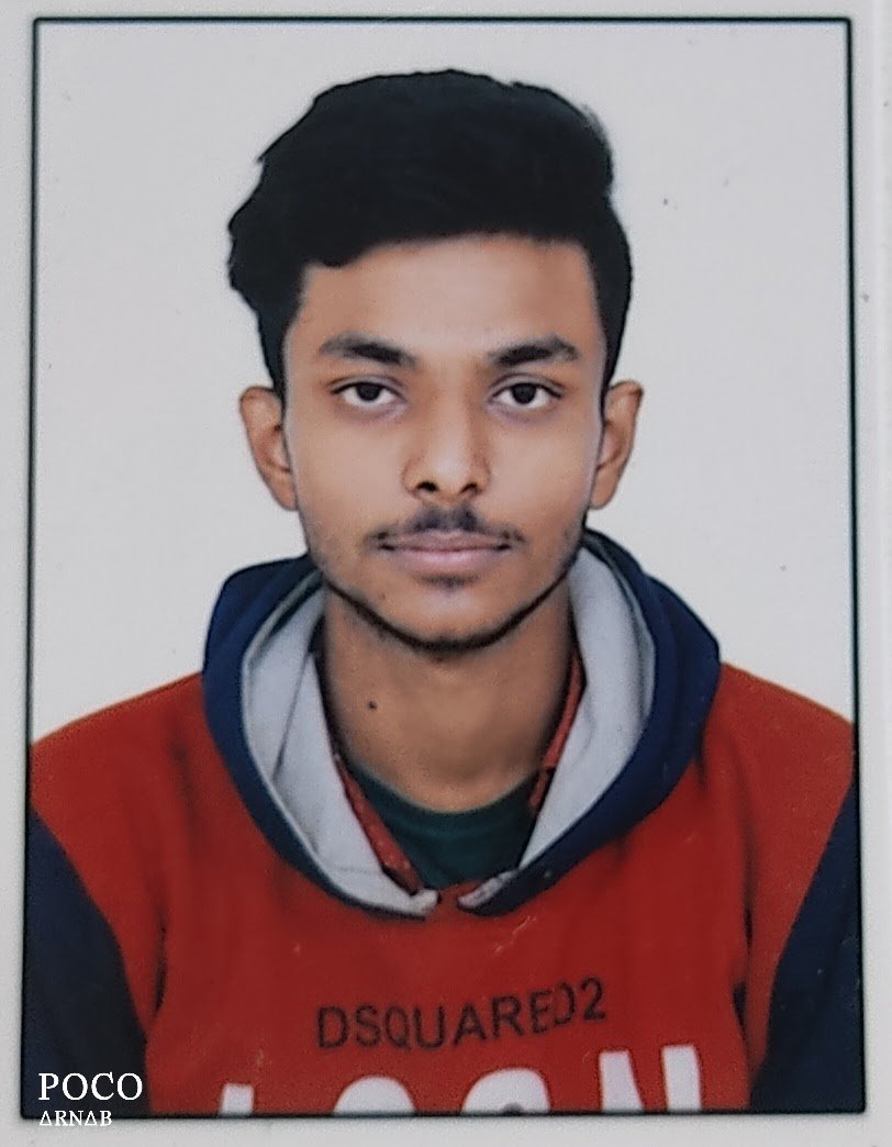 Image of Arnab Mandal