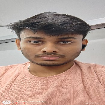 Image of Arnab Adak