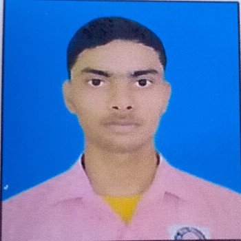 Image of Safidul Sarkar