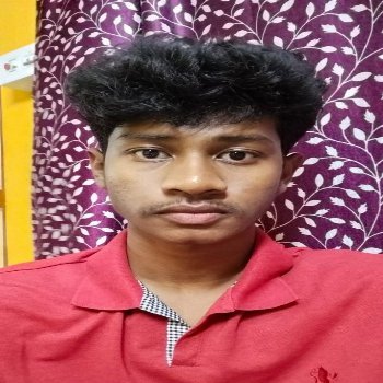 Image of Ayan Hansda