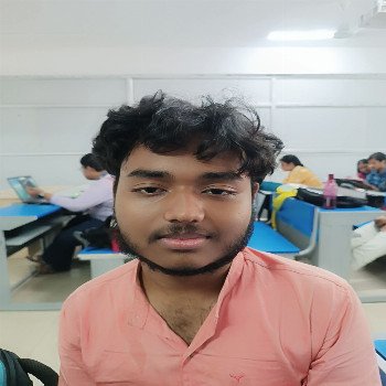 Image of Sarthak Mandal