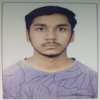 Image of Animesh Maiti