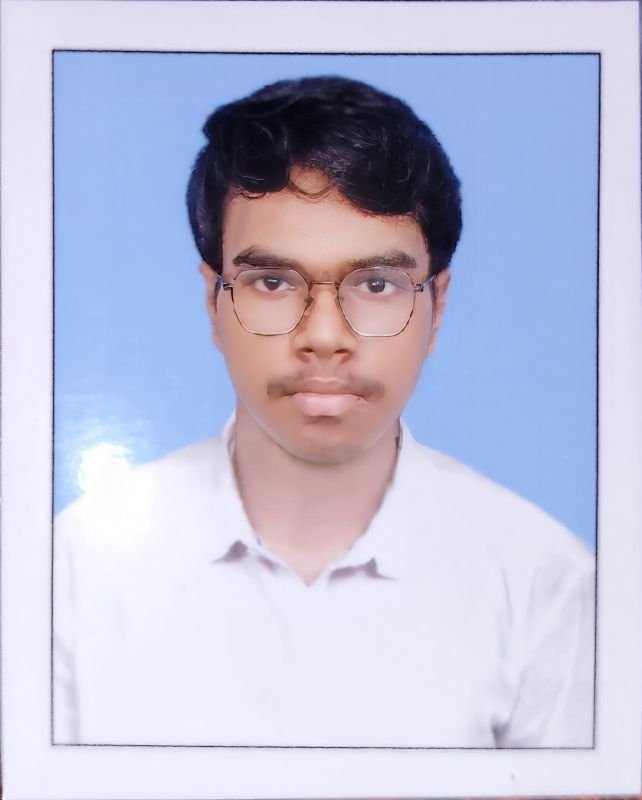 Image of Sunny Bepari