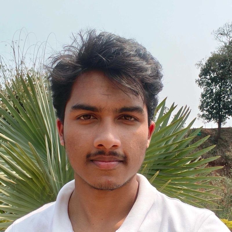 Image of Md Mahmudul Hassan