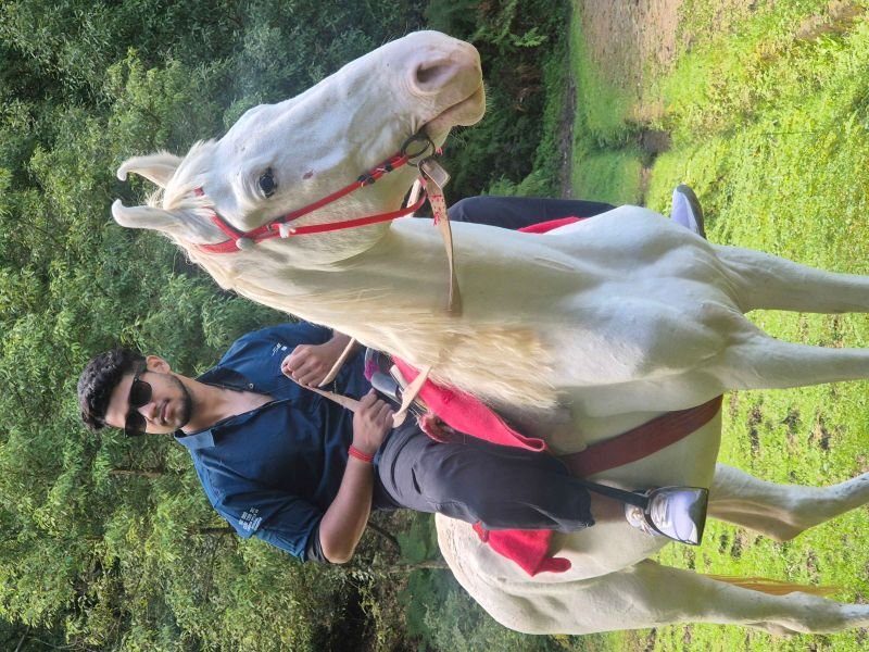 Image of Arnab Chakraborty